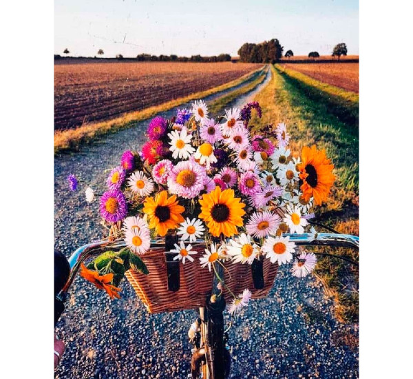 Алмазная картина 40*50  YS-43720 Букет из полевых цветов