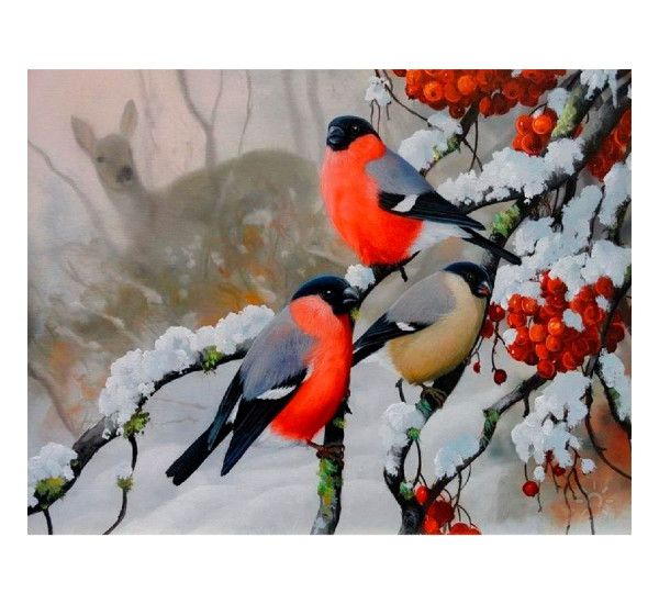 Алмазная картина 40*50  YS-48771 Снегири на ветках