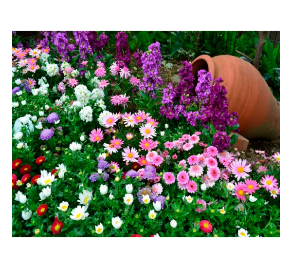 Алмазная картина 40*50  YS-50019 Фестиваль цветов