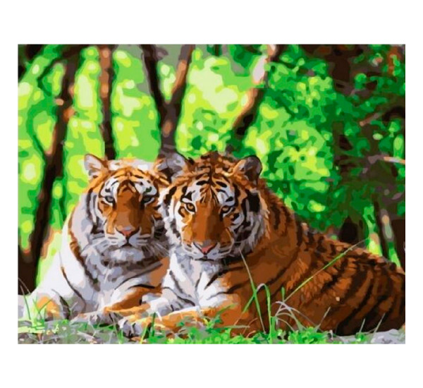 Алмазная картина 40*50  YS-44192 Пара тигров