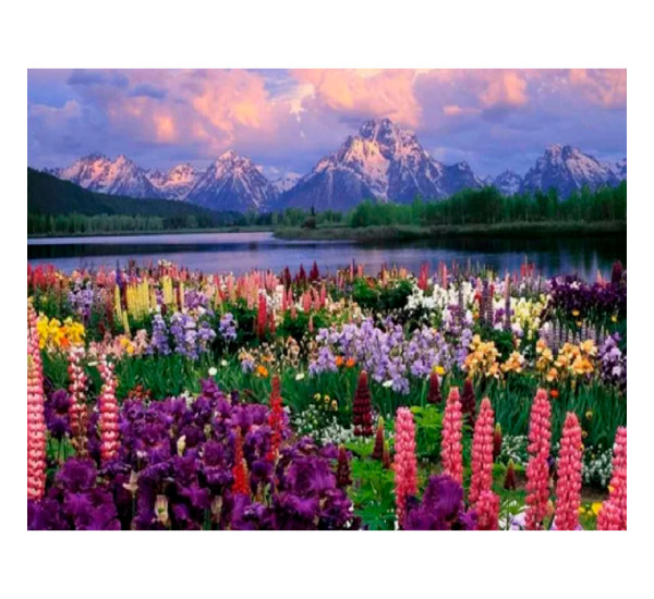 Алмазная картина 40*50  YS-54348 Долина полевых цветов