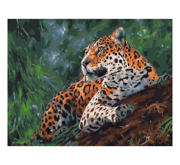 Алмазная картина 40*50  YS-46100 Леопард