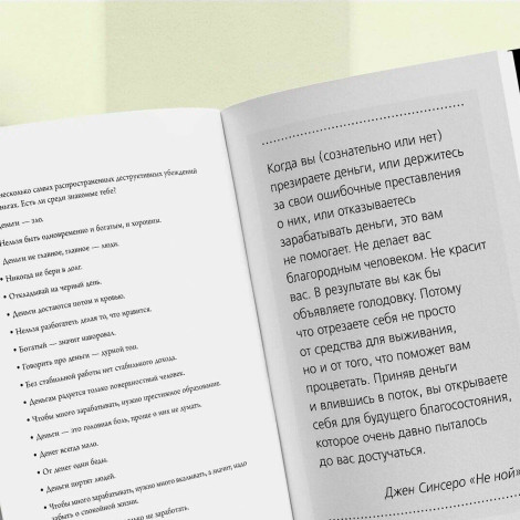 НЕ НОЙ. Дерзкий воркбук для тех, кто хочет пробить финансовый потолок.