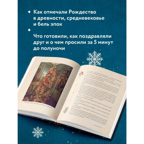 Новый год и Рождество. Волшебная история зимнего праздника от древности до наших времён.