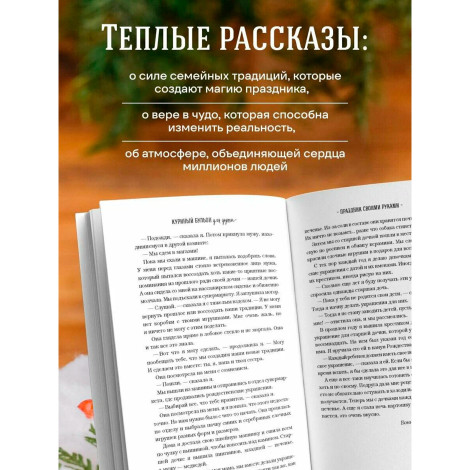 Куриный бульон для души: Дух Рождества. 101 история о самом чудесном времени в году.