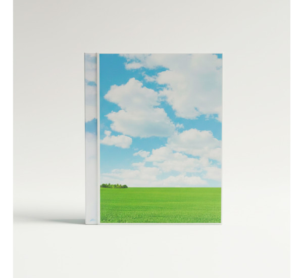 Папка c файлами А-4 80 л MG-80P (Midgo)