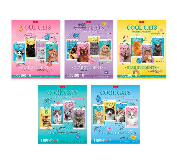 Тетрадь 48л А5ф клетка Классные коты