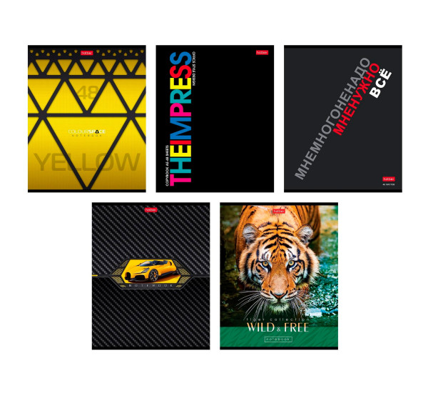 Тетрадь 48л А5ф клетка Для мальчиков Выпуск №1