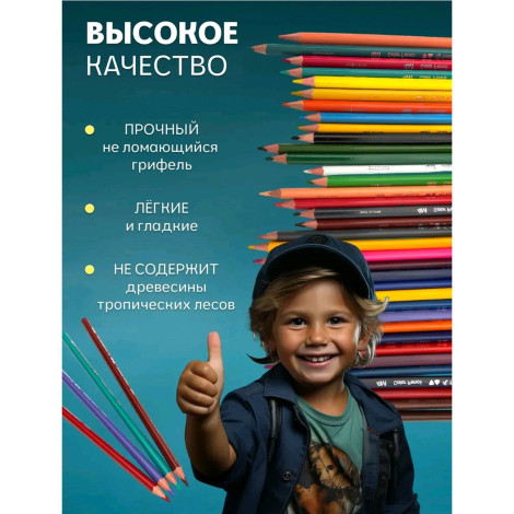 Карандаши цветные 48 цв 818-48 Tianbowen