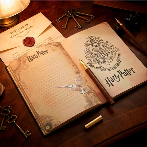Набор канцелярский Harry Potter LKQ-11