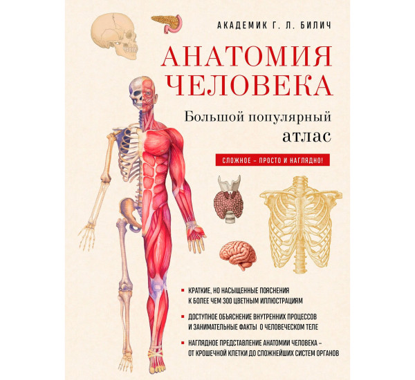 Анатомия человека: большой популярный атлас (новое оформление)
