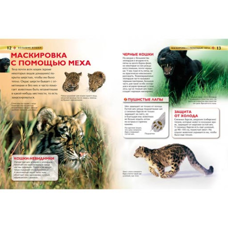 Большие кошки детская эниклопедия
